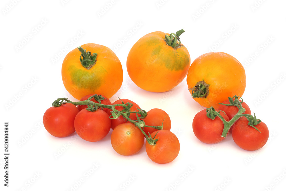 Yellow and red tomatoes isolated on white background Yellow and red tomatoes isolated on white background