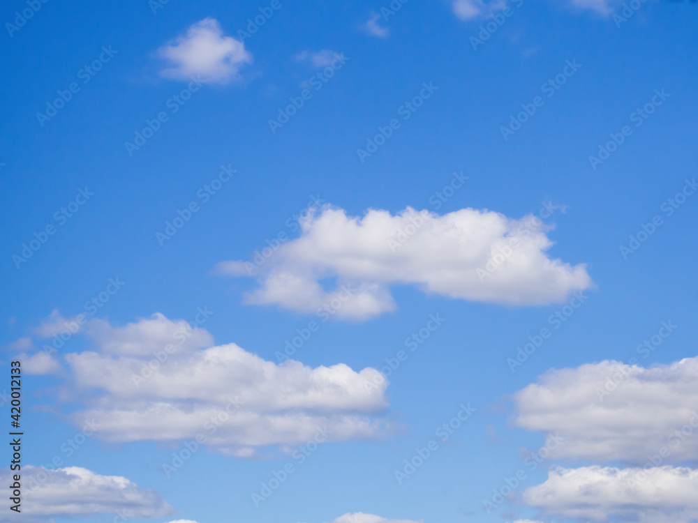Fototapeta premium white fluffy clouds in the blue sky