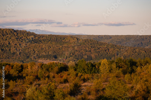 fall landscape overlooking the horizon where the ridges of the high mountains can be seen. high hills full of dense forests at sunset