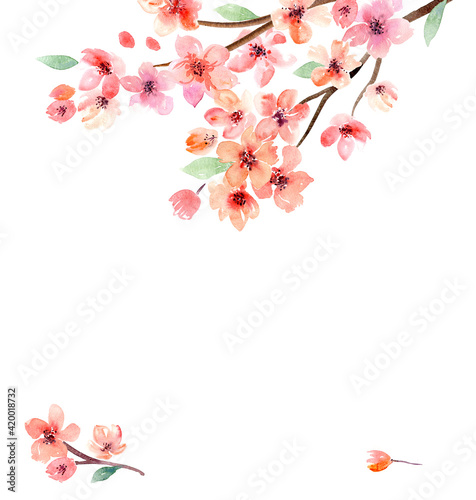 Watercolor flowers. Sakura. Set of watercolor flowers, leaves and branches 