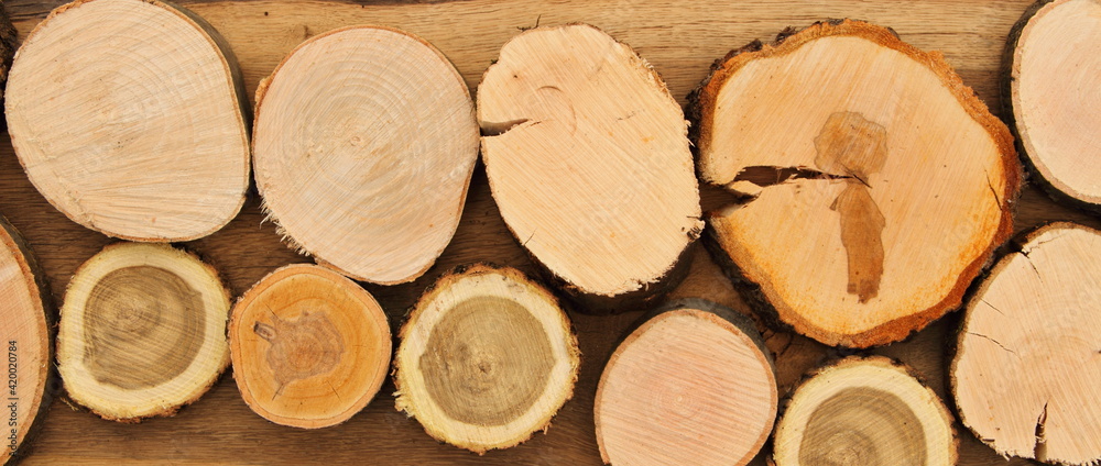 different round wooden disks as a background on a board different round wooden disks as a background on a board