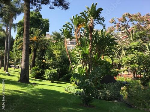 Public gardens in Monte Carlo, Monaco