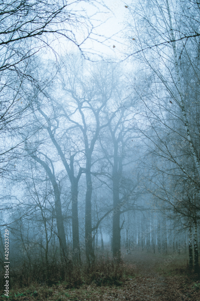 Creepy trees Creepy trees