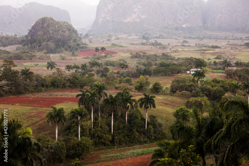 Photography Beautiful Vinales Valley with palm trees and fog