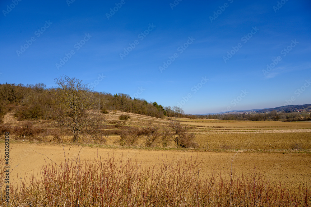 Lower Austria Landscape I