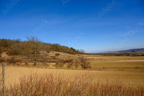 Lower Austria Landscape I