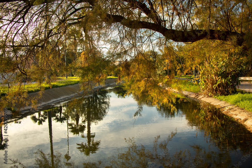 Fototapeta premium Beautiful autumn landscape in Valencia with a reflection of nature in the water