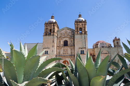 Santo Domingo Cathedral in historic Oaxaca city center photo