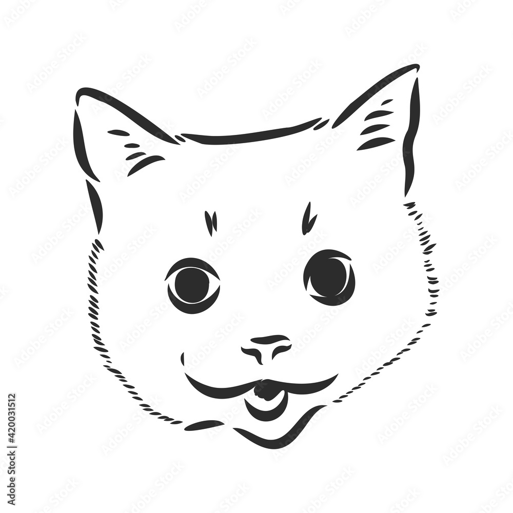 Vector drawings sketches head of a cat hand are drawn in ink by hand , objects with no background logo, tattoo Vector drawings sketches head of a cat hand are drawn in ink by hand , objects with no background logo, tattoo