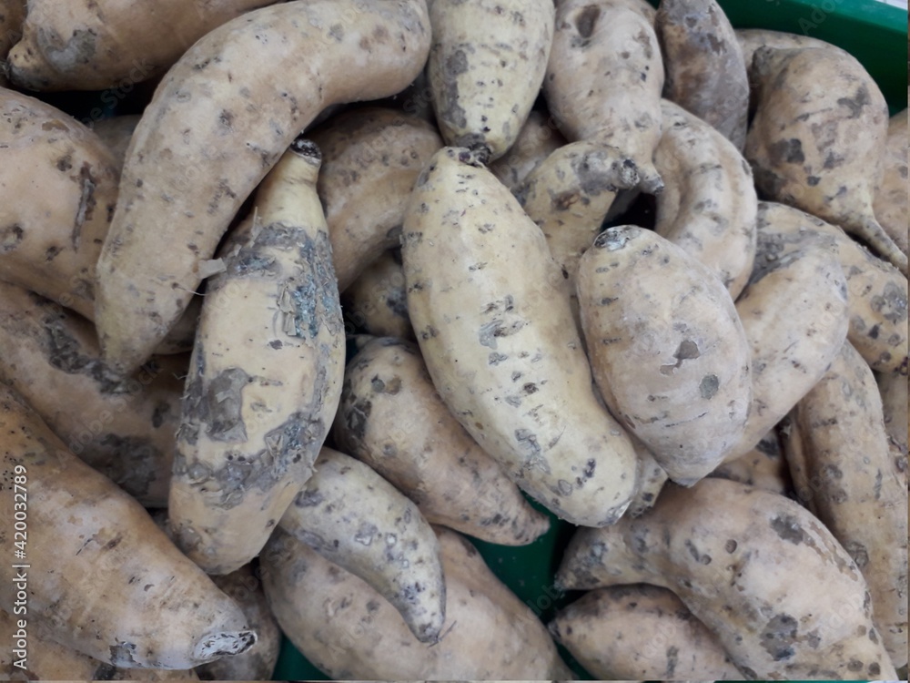 purple sweet potato sold in traditional markets purple sweet potato sold in traditional markets