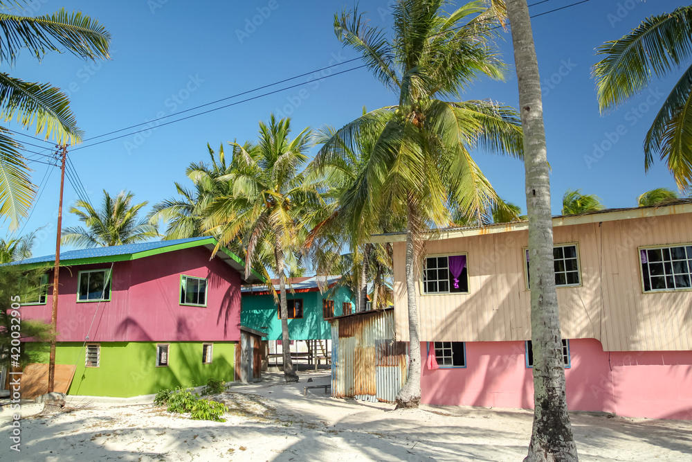 Multicolored buildings among coconut trees on blue sky background
