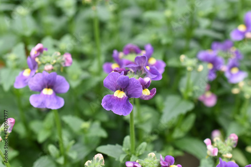 Wallpaper Mural Elfenspiegel Torontodigital.ca