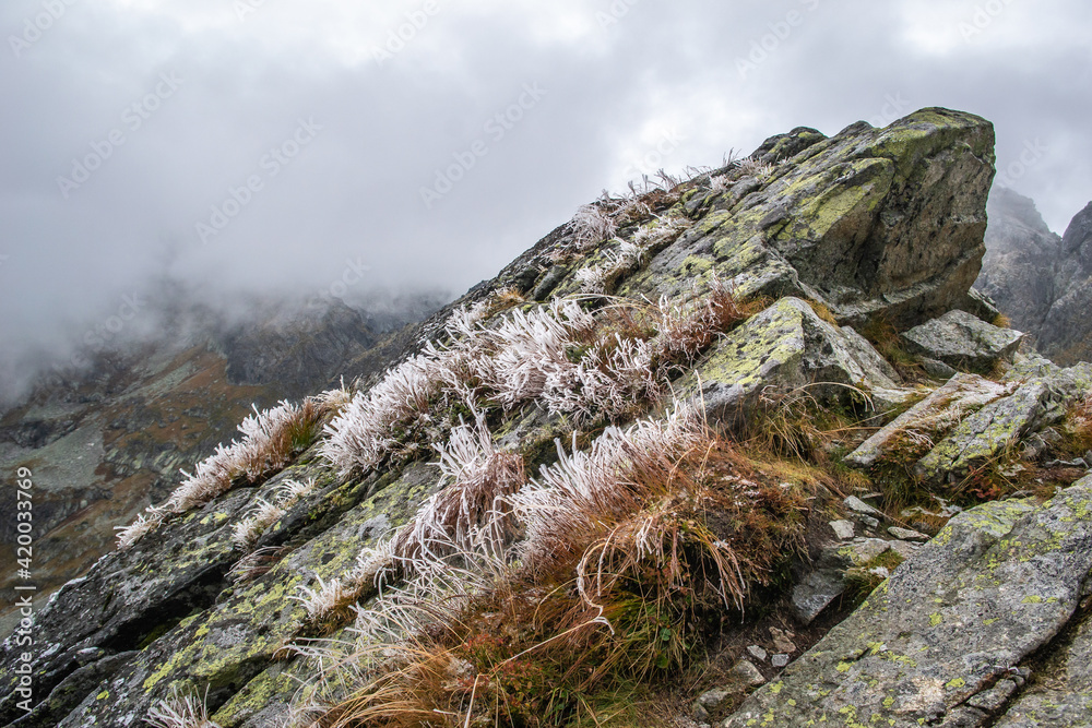 Szpiglasowa Przełęcz, Tatry