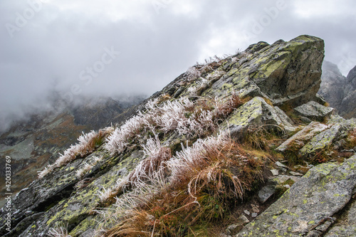 Obraz na płótnie Szpiglasowa Przełęcz, Tatry w salonie