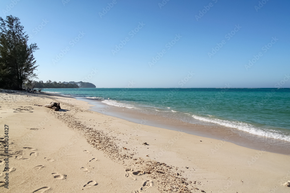 sandy beach with vegetation on turquoise sea and blue sky with clouds background