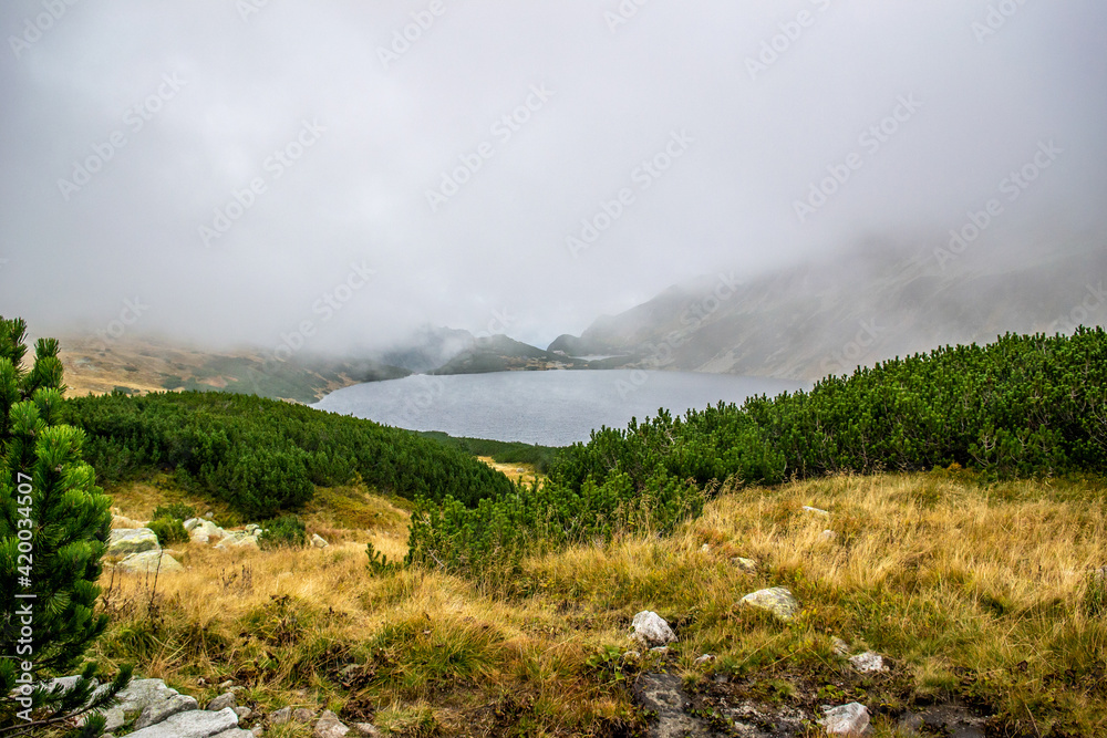 Dolina Pięciu Stawów, Tatry