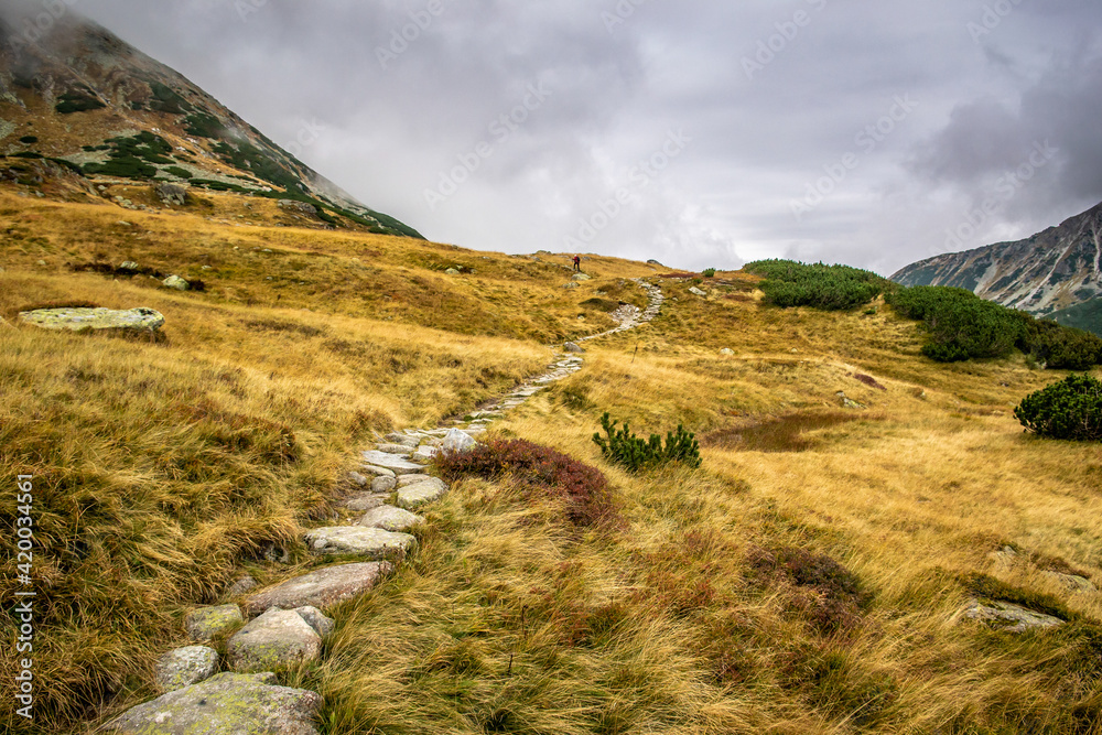 Dolina Pięciu Stawów, Tatry