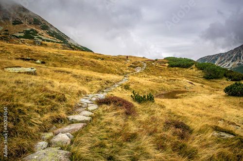 Obraz na płótnie Dolina Pięciu Stawów, Tatry w salonie