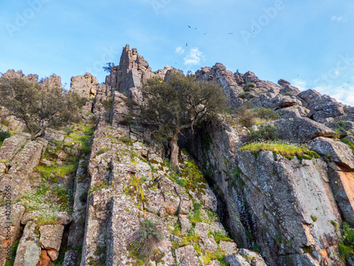 Grandes rocas de cuarcita cubiertas de musgos y líquenes ascienden en vertical hacia las cumbres del Parque Nacional de Monfragüe, España © Franjagoher