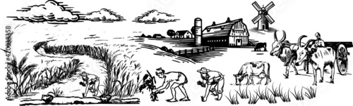 Rural landscape field wheat, Bullock, Tractor, Cow, wind power, house, trees, plant, fences, Tuscany Landscape, old Barn, Hand drawn vintage vector Illustration.