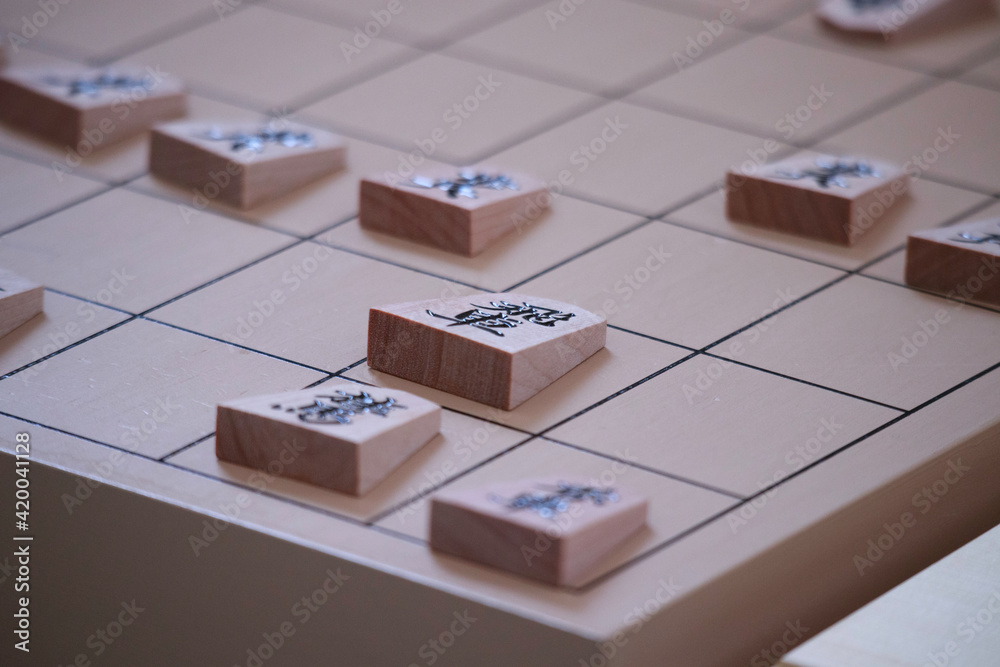 将棋の駒 将棋の駒