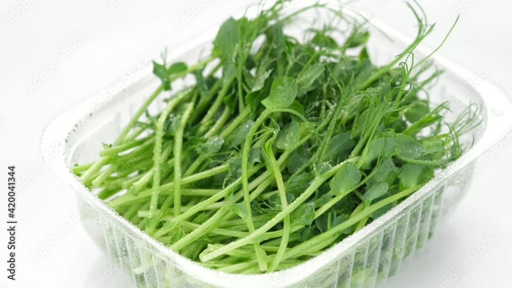 micro greens. fresh peas micro greens in container for delivery or sale on white background micro greens. fresh peas micro greens in container for delivery or sale on white background