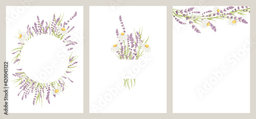 Summer bouquet. Birthday or Wedding cards. Vector design element, wreaths of lavender and chamomile, medicinal herbs.