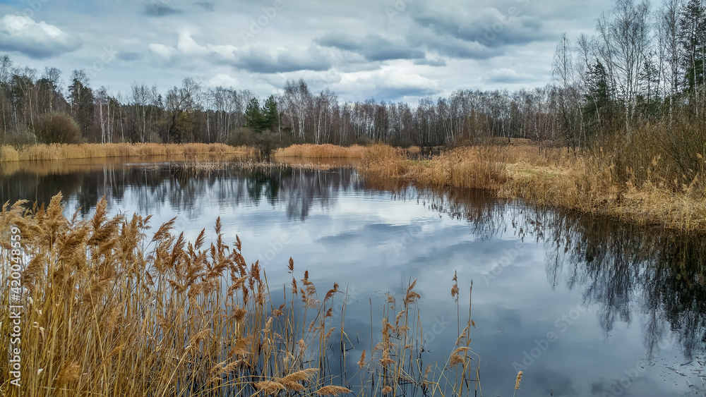 A lake in which the surrounding gloomy clouds, trees and grass are reflected in early spring