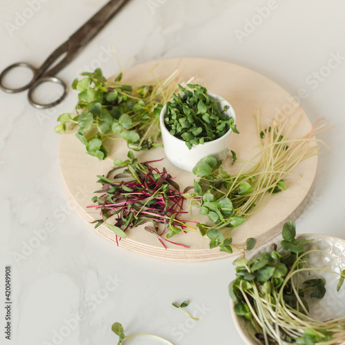 Micro green set on wooden plate