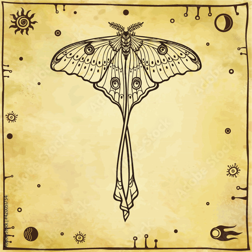  Tropical butterfly Argema mittrei. Linear drawing. Vector illustration. A background - imitation of old paper.
