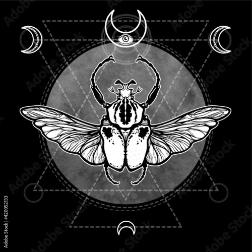 Bug Goliath. Esoteric symbol, sacred geometry. Sign of the moon. Monochrome drawing isolated on a black background. Vector illustration. Print, posters, t-shirt, textiles.