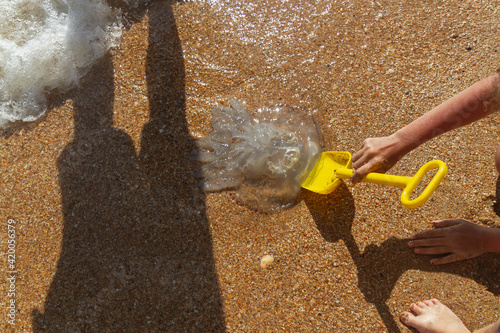 Obraz na płótnie Children found a jellyfish washed up on a beach near the sea w salonie