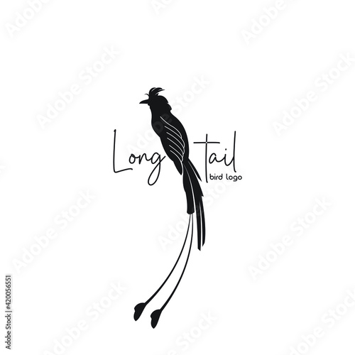 long tail bird logo exclusive design inspiration