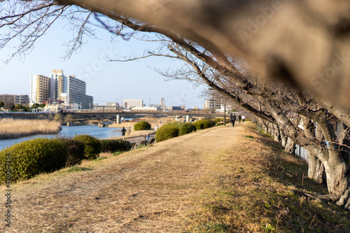 川原の情景