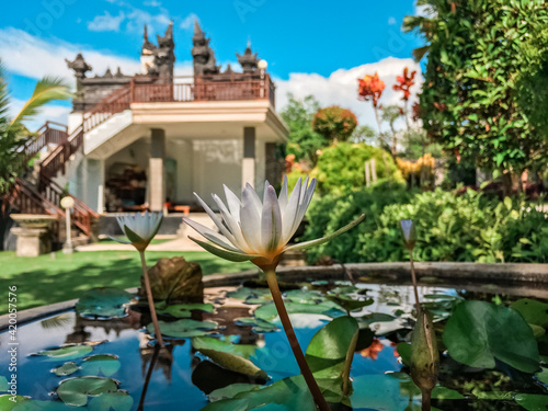 Travel to Asia. Bali island