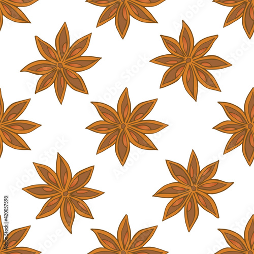 vector brown illicium spice hand drawn seamless pattern-01