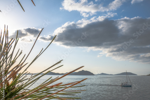 雲と海と木々と