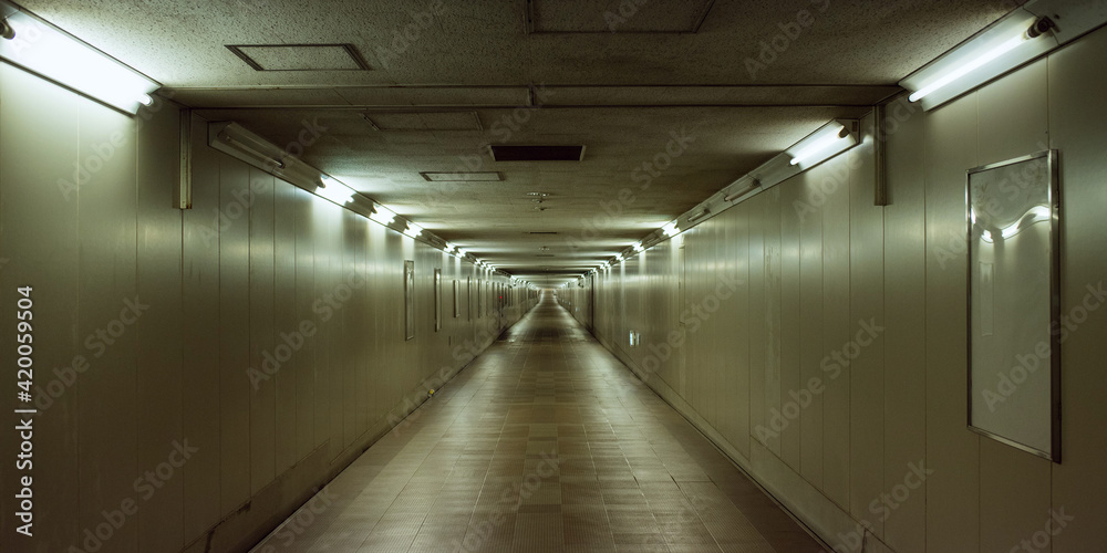 Dark and long underground passage　暗く長い地下道 成田空港と京成東成田駅の連絡通路