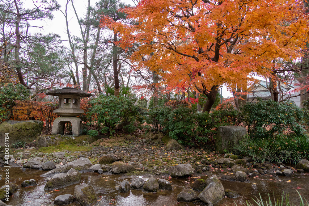 紅葉.モミジ.紅葉.もみじ.秋.水辺.川.小川」の写真素材 | 42件の