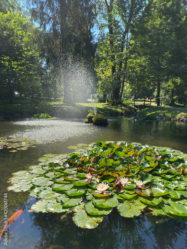 Pond with water lilies and a fountain
