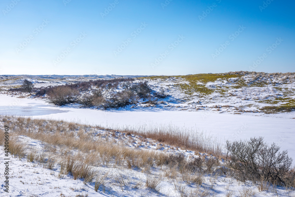 Snowy and ice winter landscape at the Amsterdamse Waterleidingduinen Snowy and ice winter landscape at the Amsterdamse Waterleidingduinen