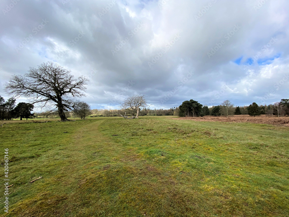 Fototapeta premium A view of the Shropshire Countryside at Attingham Park