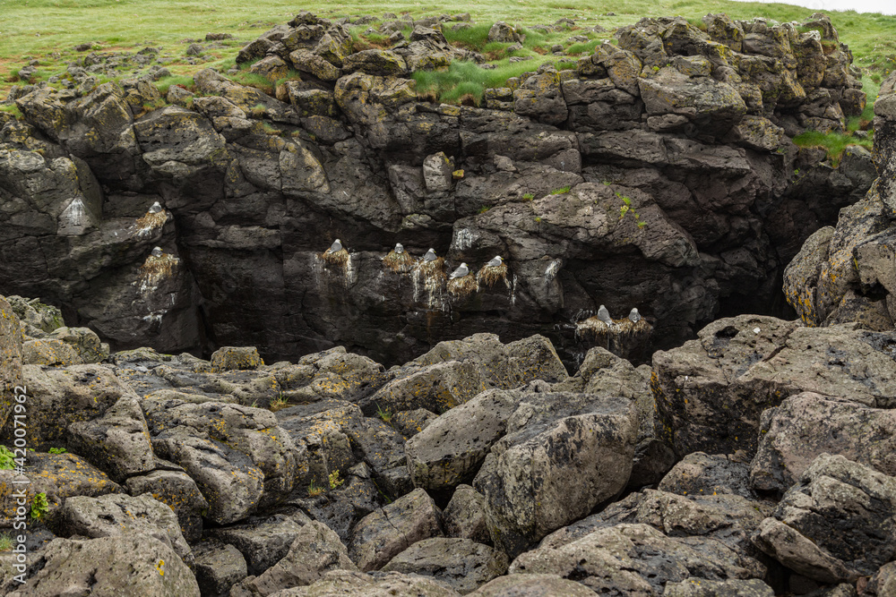 Hike from Arnarstapi to the Stone Bridge in the south of Iceland Hike from Arnarstapi to the Stone Bridge in the south of Iceland