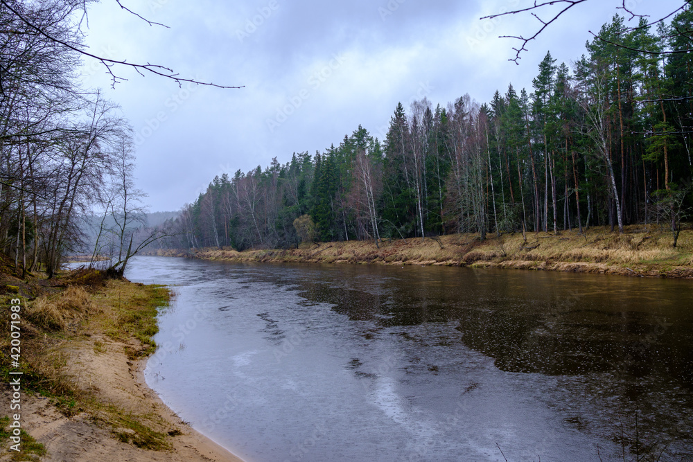 countryside forest river with blue water and rocks on the shore