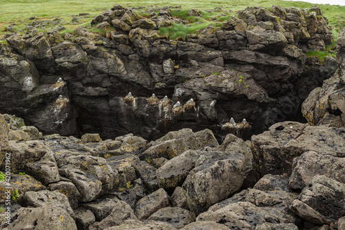 Hike from Arnarstapi to the Stone Bridge in the south of Iceland