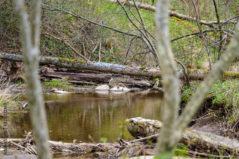 countryside forest river with blue water and rocks on the shore countryside forest river with blue water and rocks on the shore