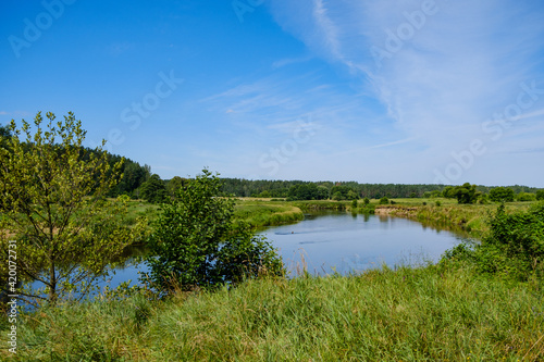 scenic summer river view in forest with green foliage tree leaf and low water
