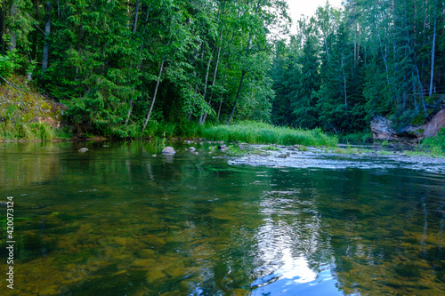 scenic summer river view in forest with green foliage tree leaf and low water © Martins Vanags