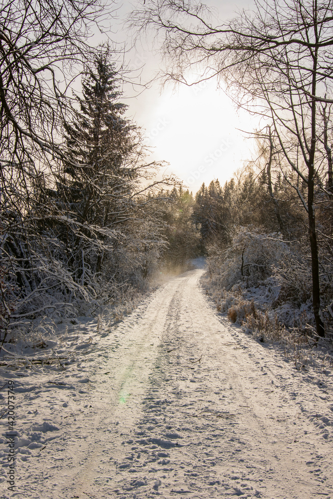 Mountain road in winter