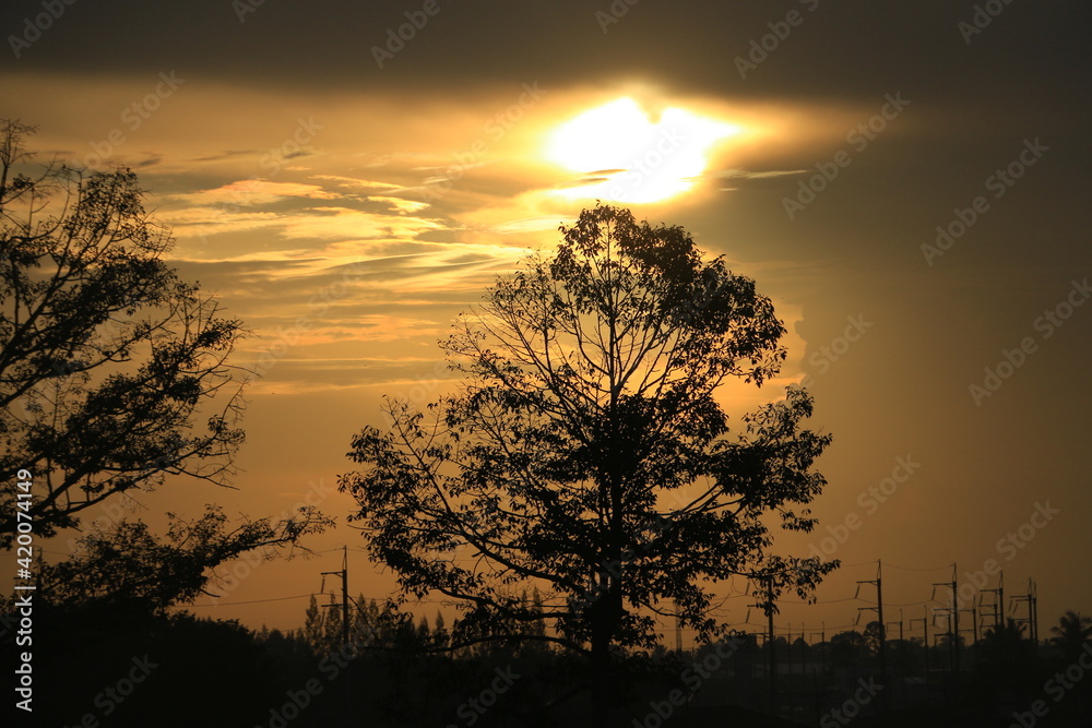 Fototapeta premium The sun rises with trees and sky